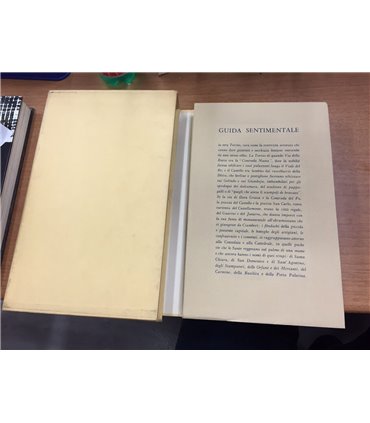 Guida sentimentale
