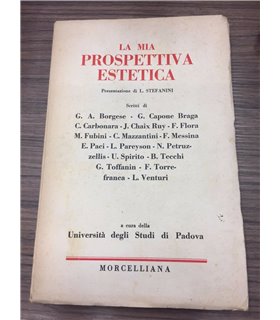 La mia prospettiva estetica