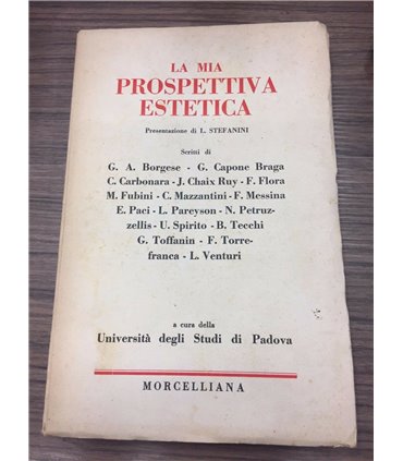 La mia prospettiva estetica
