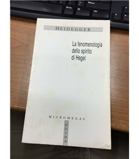 La fenomenologia dello spirito di Hegel