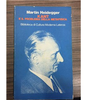 Kant e il problema della metafisica