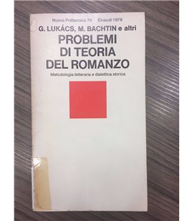 Problemi di teoria del romanzo