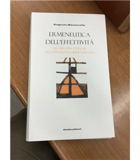 Ermeneutica dell'effettività