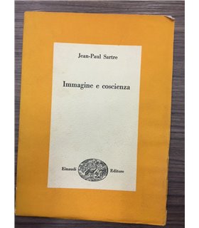 Immagine e coscienza
