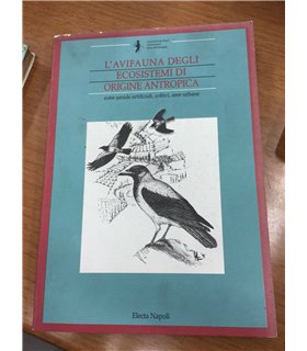 L'Avifauna degli ecosistemi di origine antropica