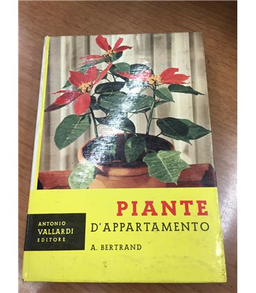Piante d'appartamento