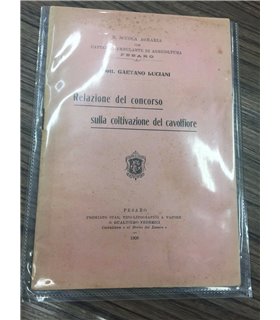 Relazione del concorso sulla coltivazione del cavolfiore