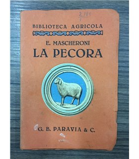 La pecora