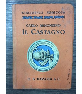 Il Castagno