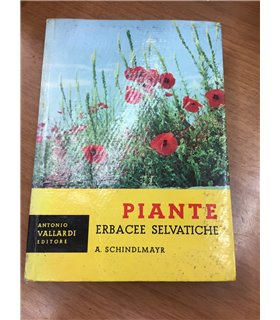 Piante erbacee selvatiche