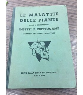 Insetti e Crittogame