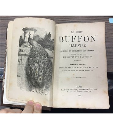 Le petit Buffon illustré