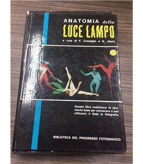 Anatomia della luce lampo