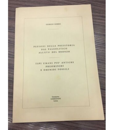 Periodi della preistoria dal paleolitico all'età del bronzo