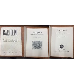 Antinoo o l'efebo dal Naso a becco di civetta