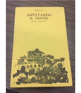 Aspettando il vento