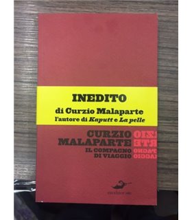 Il compagno di viaggio