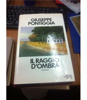 Il raggio d'ombra. Romanzo