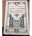 Il libro di Don Chisciotte