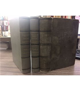 Studi danteschi. 3 voll