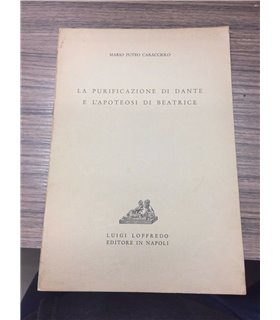 La purificazione di Dante e l'apoteosi di Beatrice