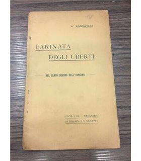 Farinata degli Uberti nel canto decimo dell'Inferno