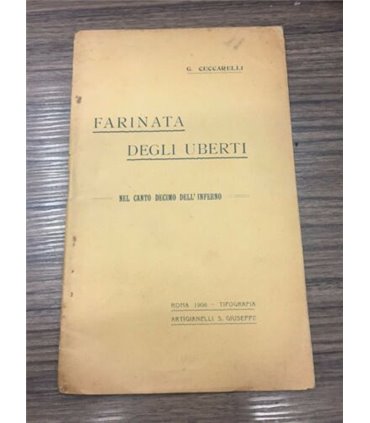 Farinata degli Uberti nel canto decimo dell'Inferno