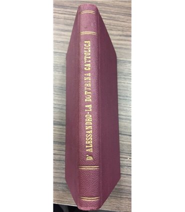 La dottrina cattolica nella divina commedia