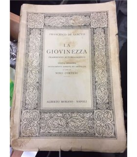 La Giovinezza. Frammento autobiografico