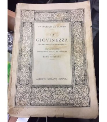 La Giovinezza. Frammento autobiografico