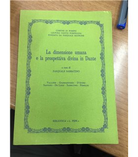 La dimensione umana e la prospettiva divina in Dante