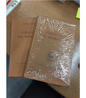 Virgilio nel medio evo