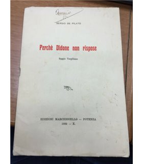 Perché Didone non rispose. Saggio Virgiliano