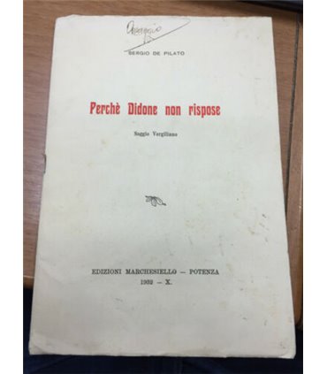 Perché Didone non rispose. Saggio Virgiliano