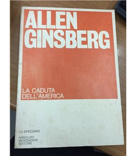 La caduta dell'America