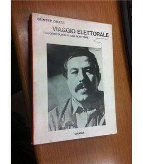 Viaggio elettorale