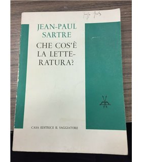 Che cos'è la letteratura?