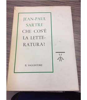 Che cos'è la letteratura?