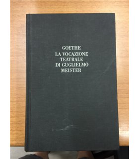 La vocazione teatrale di Gugliemo Meister