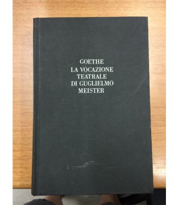 La vocazione teatrale di Gugliemo Meister