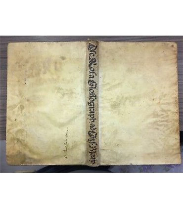 Glossographia et scriptiones ad consuetudines neapolitanas