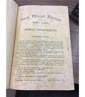 Storia naturale illustrata.  Animali invertebrati