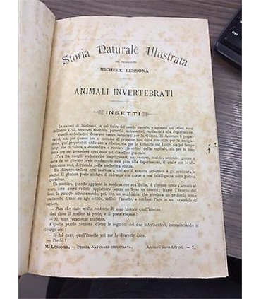 Storia naturale illustrata.  Animali invertebrati