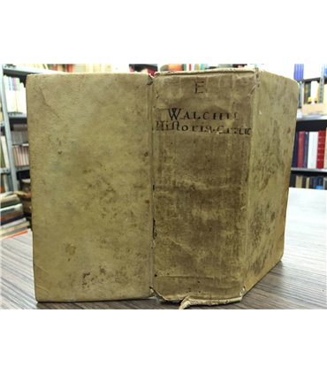 Historia critica latina linguae