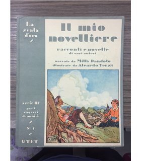 Il mio novelliere