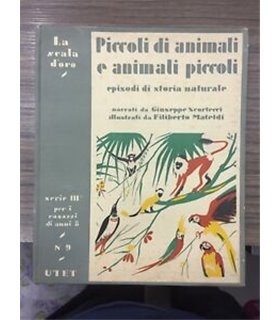 Piccoli di animali e animali piccoli