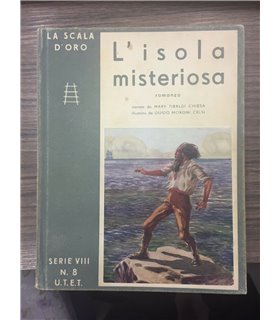 L'isola misteriosa. Romanzo