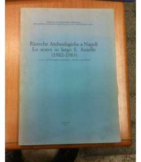 Ricerche Archeologiche a Napoli