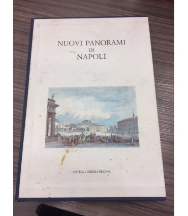 Nuovi panorami di Napoli