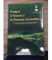 Pompei il Vesuvio e la Penisola Sorrentina